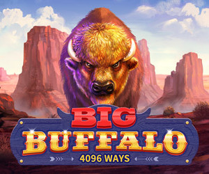 Big Buffalo